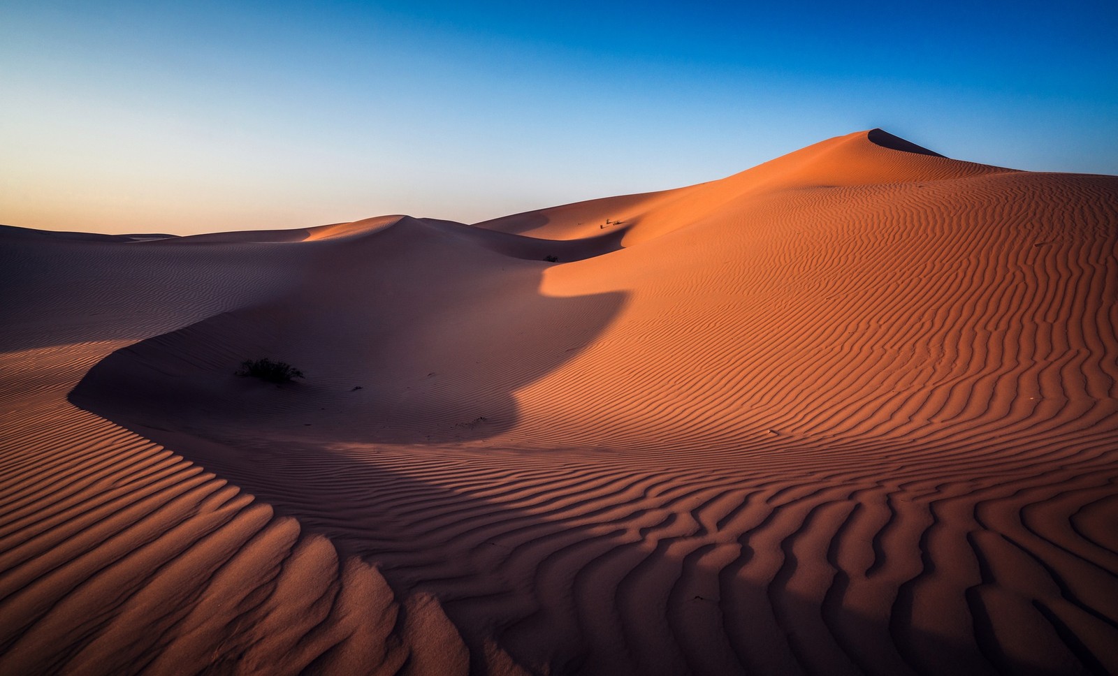 Скачать обои дюна, dune, пустыня, ерг, песок