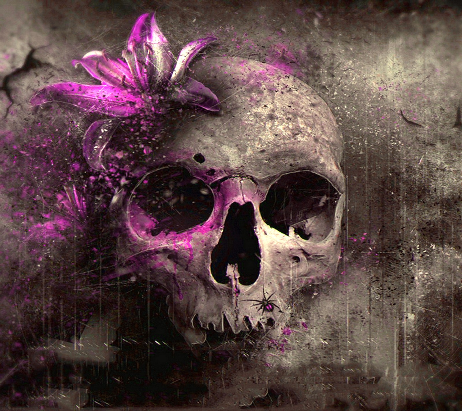 Purple skull with a flower in its hair (dead skull head, purple flower grungy)