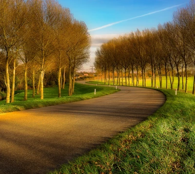 Ruhige kurvenreiche Straße zwischen üppigen Bäumen und offener Landschaft