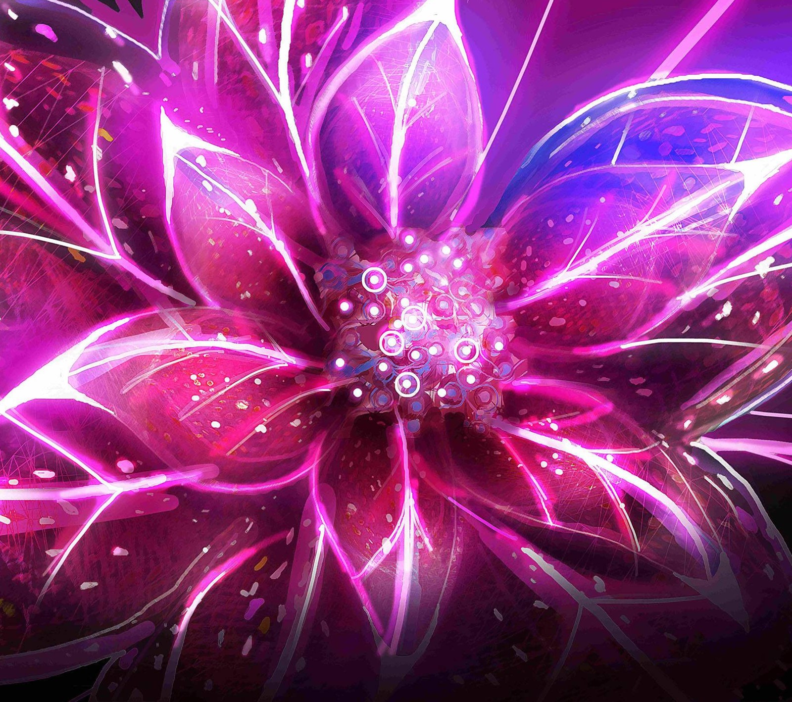 Purple flower with lots of sparkles and a black background (beautiful, cool, female, flower, funny)