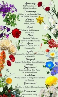 Un calendrier floral coloré affichant différentes fleurs associées à chaque mois, mettant en avant leurs noms et couleurs.