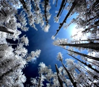 asombroso, naturaleza, cielo