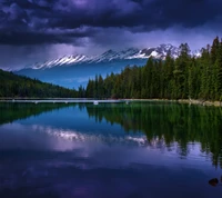 clouds, forest, landscape, mountains, pines