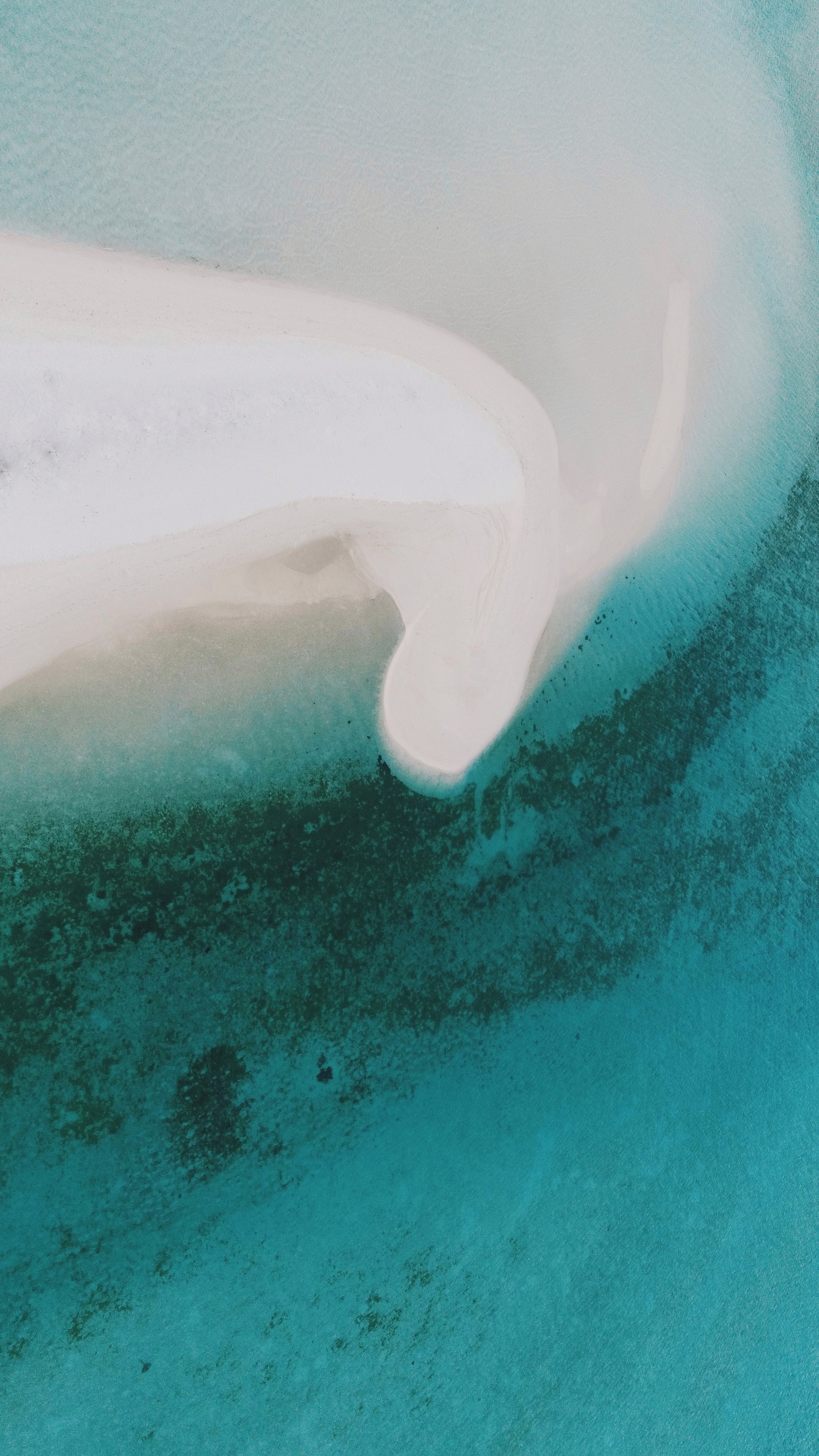 Vue aérienne d'une plage de sable blanc avec un bateau dans l'eau (la côte, mer, océan, eau, bleu)