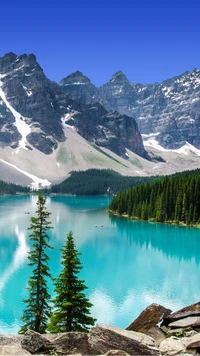 Lago Moraine: una joya glacial serena rodeada de picos majestuosos y bosques exuberantes.