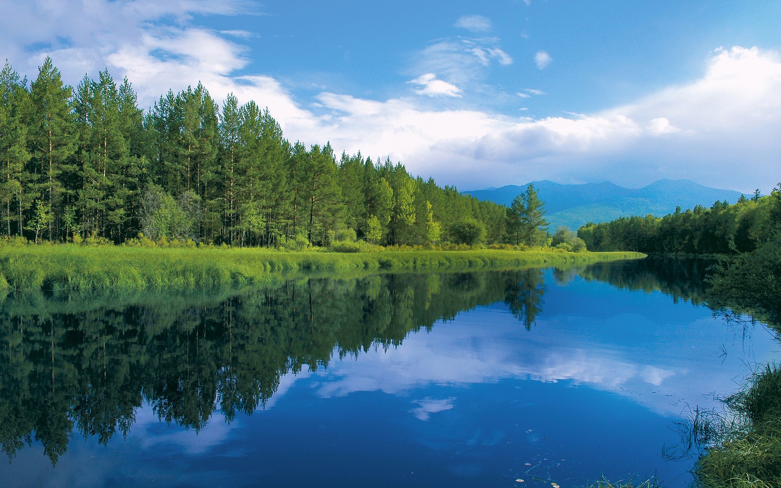 A view of a lake with a forest in the background (nature, reflection, water, water resources, lake)