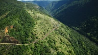 vegetación, tierras altas, estación de montaña, reserva natural, escarpe