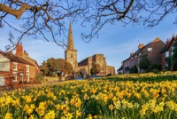 Der Frühling blüht im historischen England: Narzissen umgeben eine charmante Stadtkirche und Bauernhäuser