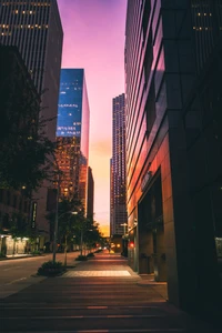 Urban Oasis: Skyscrapers and Dusk Reflection