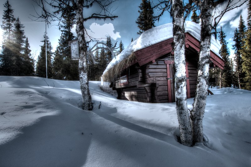 Снежная хижина в лесу с крышей, покрытой снегом (зима, снег, дерево, замораживание, лед)