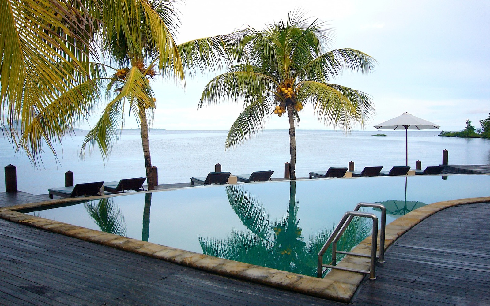 Há uma piscina com vista para o oceano e palmeiras (estância, resort à beira mar, praia, árvore, trópicos)