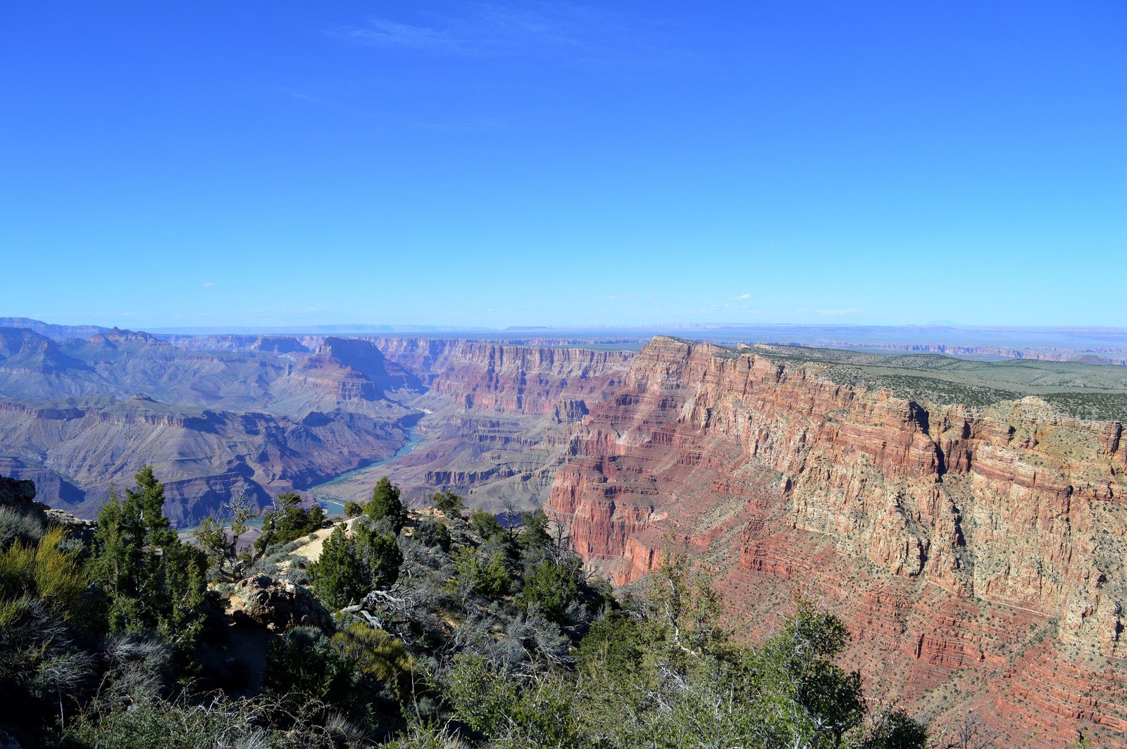 Uma vista do grand canyon a partir da borda sul do grand canyon (parque nacional do grand canyon, parque nacional, vila do grand canyon, cânion, escarpa)