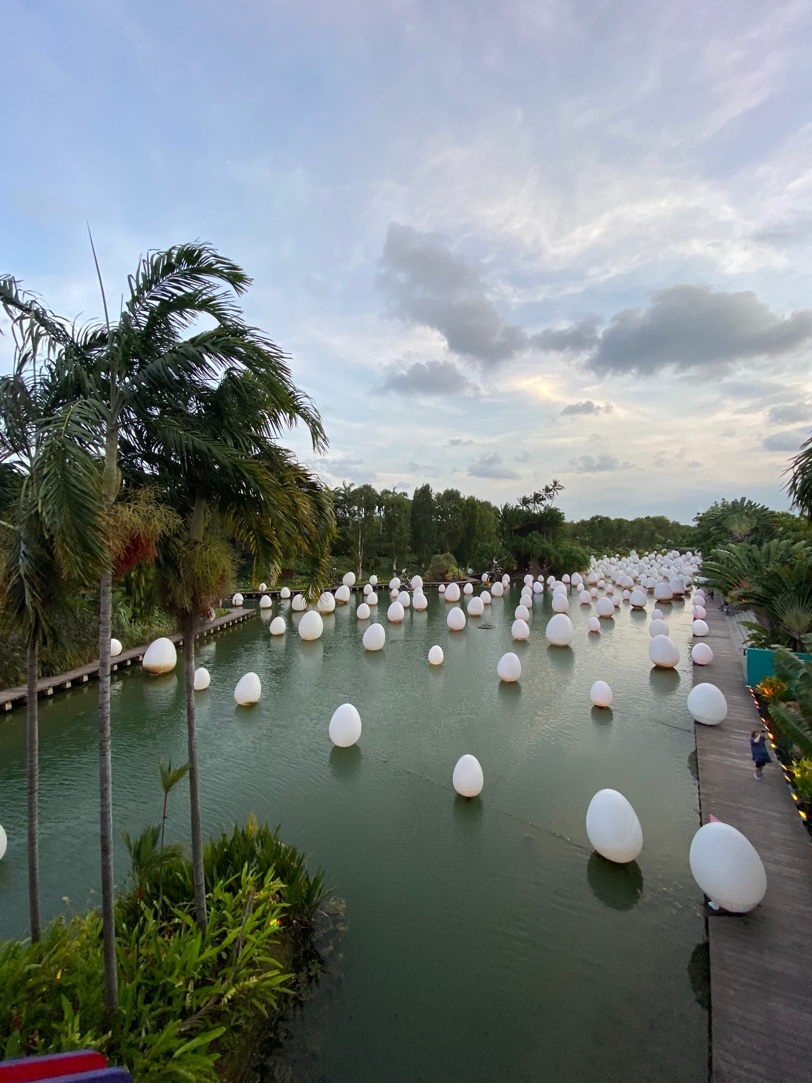 Il y a beaucoup de ballons blancs flottant dans l'eau près des palmiers (plan deau, voie navigable, ressources en eau, réservoir, palmier)