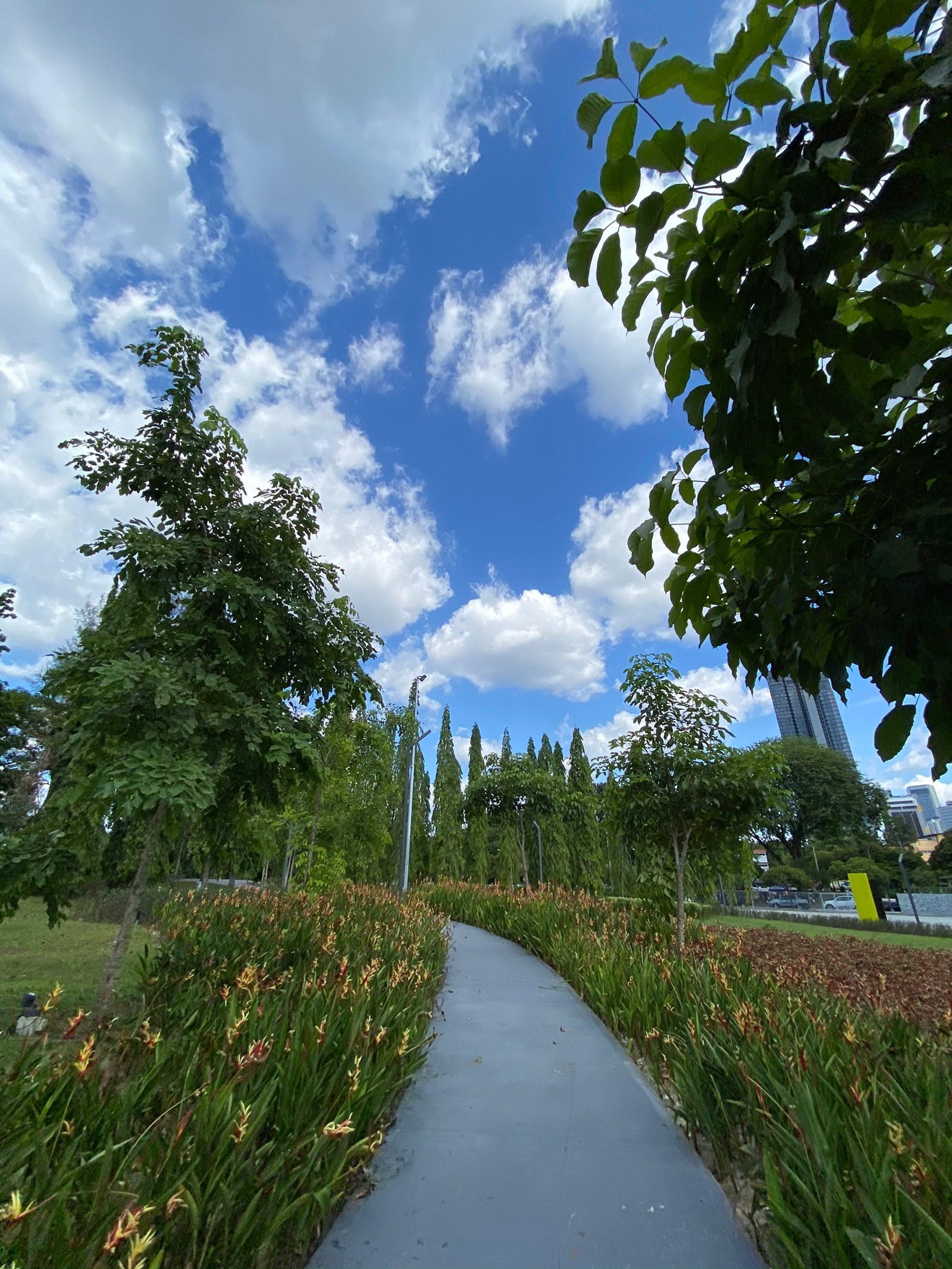 Il y a un chemin entouré de fleurs et d'arbres (herbe, plante, arbuste, cumulus, famille des graminées)