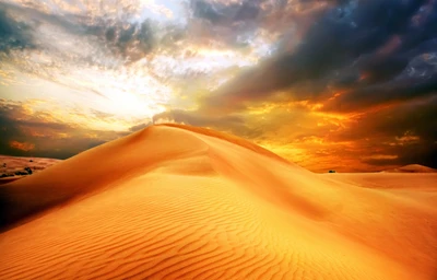 Dune dorée au coucher du soleil dans le paysage désertique