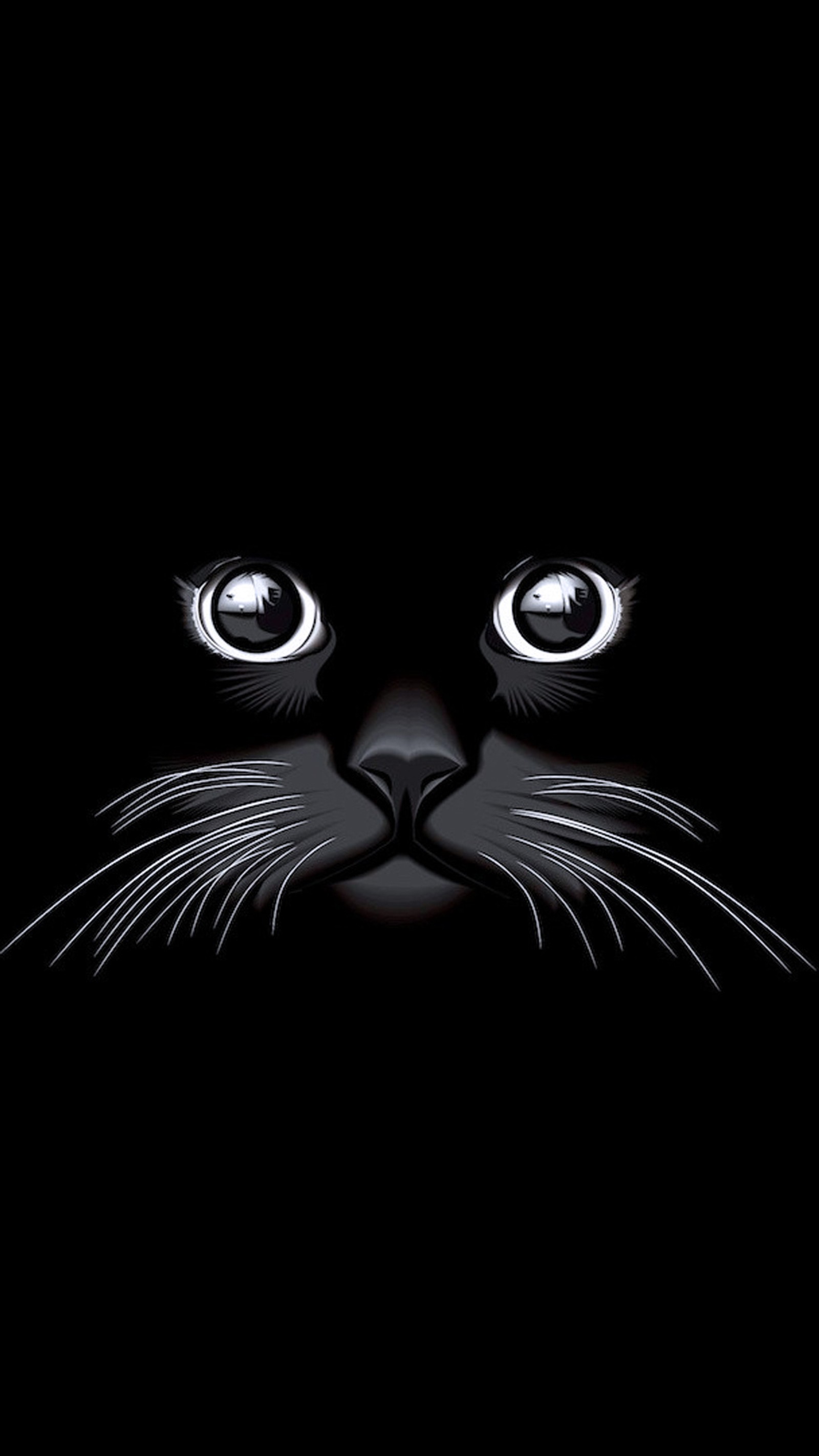 Descargar fondo de pantalla negro, cat