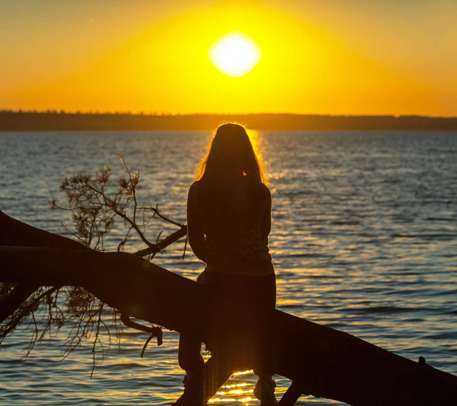 Una mujer árabe sentada en una rama de árbol frente al sol (niña, lago, naturaleza, gente, sol)