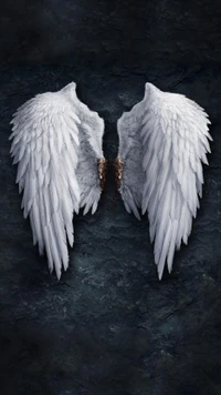 angel, angel wings, broken, pair, white wallpaper