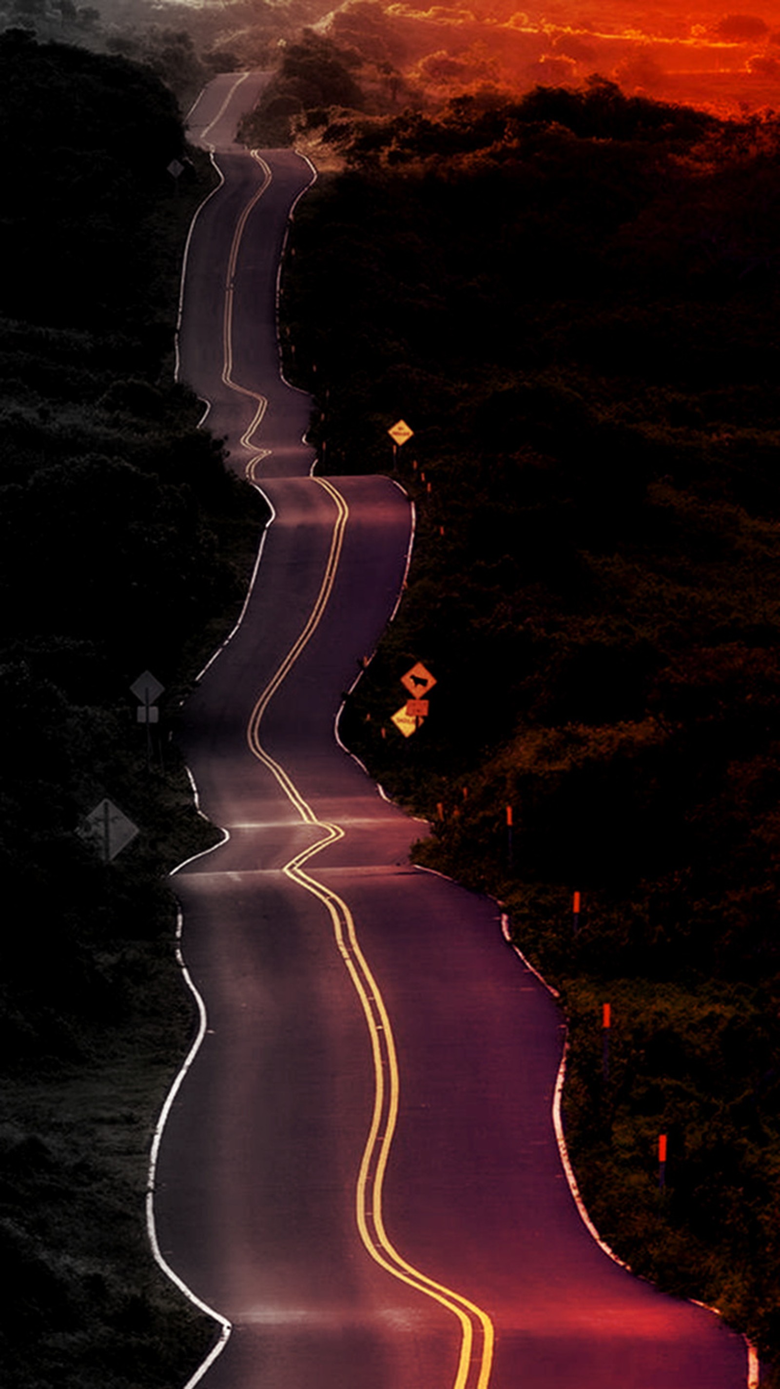 Una carretera marcada con líneas amarillas y un cielo rojo (eternidad, camino)