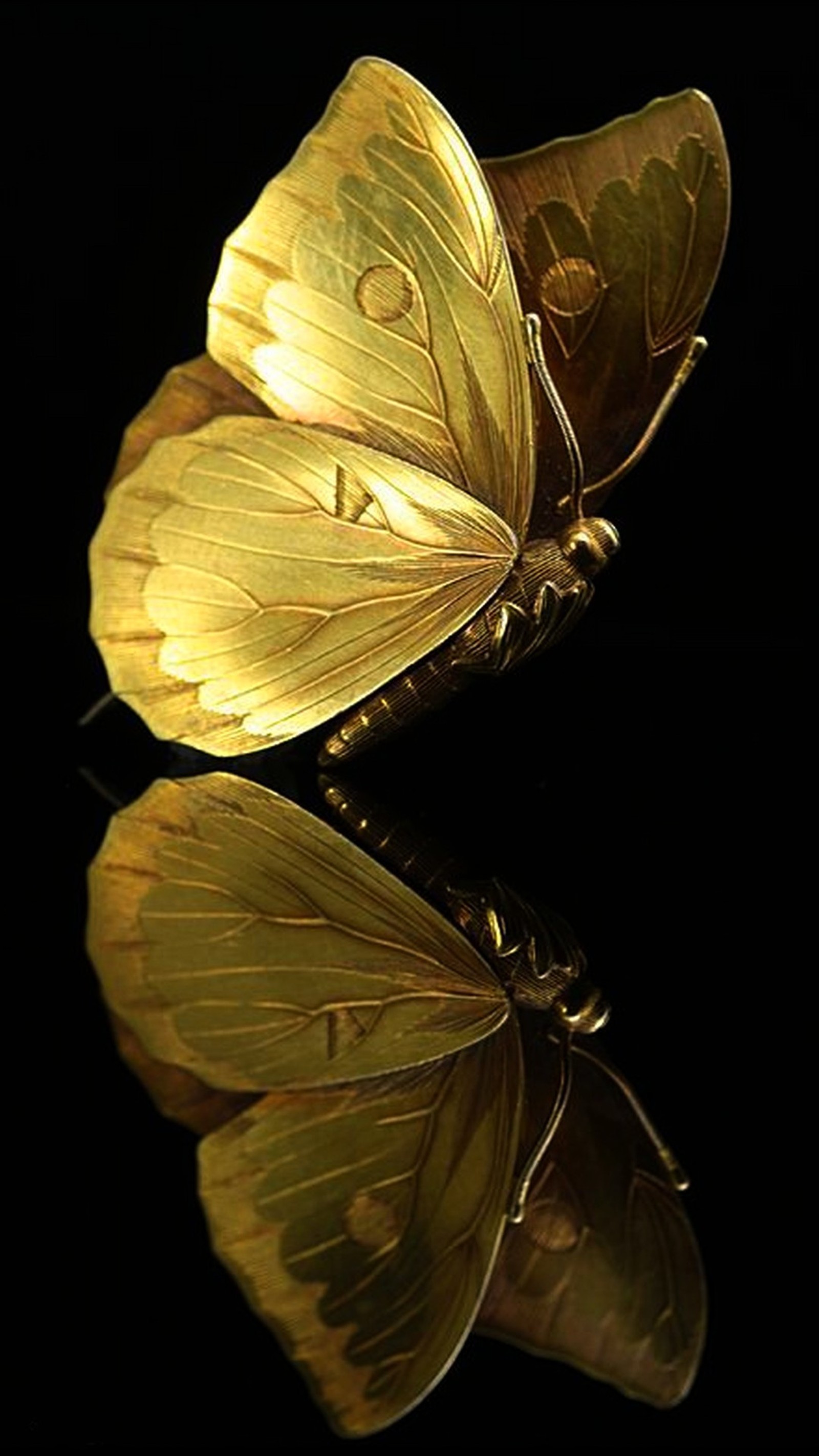 Zwei schmetterlinge sitzen auf einer schwarzen oberfläche (gold, nett, hübsch, tapeten, schmetterling)