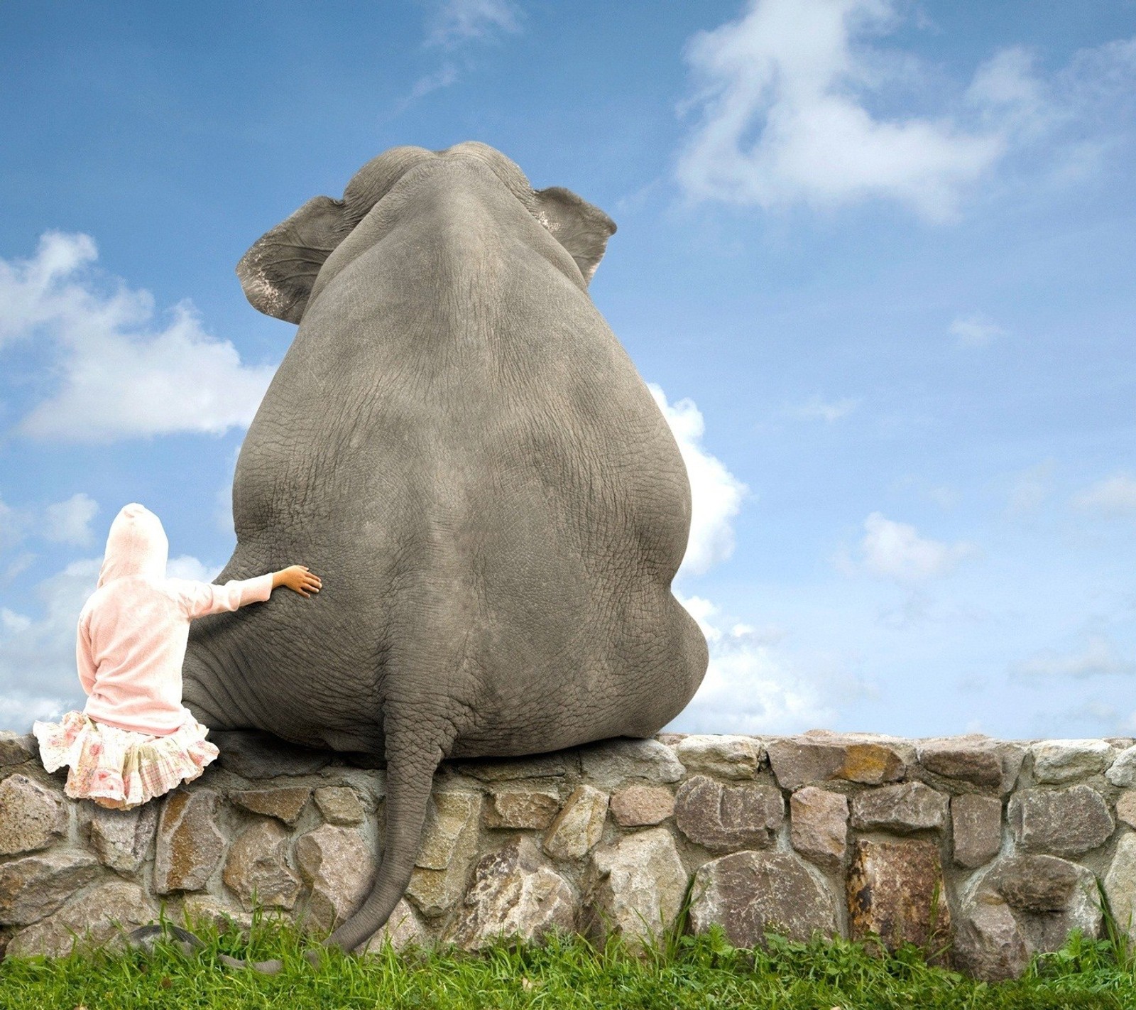 Téléchargez le fond d'écran animal, meilleur, éléphant, ami, amant