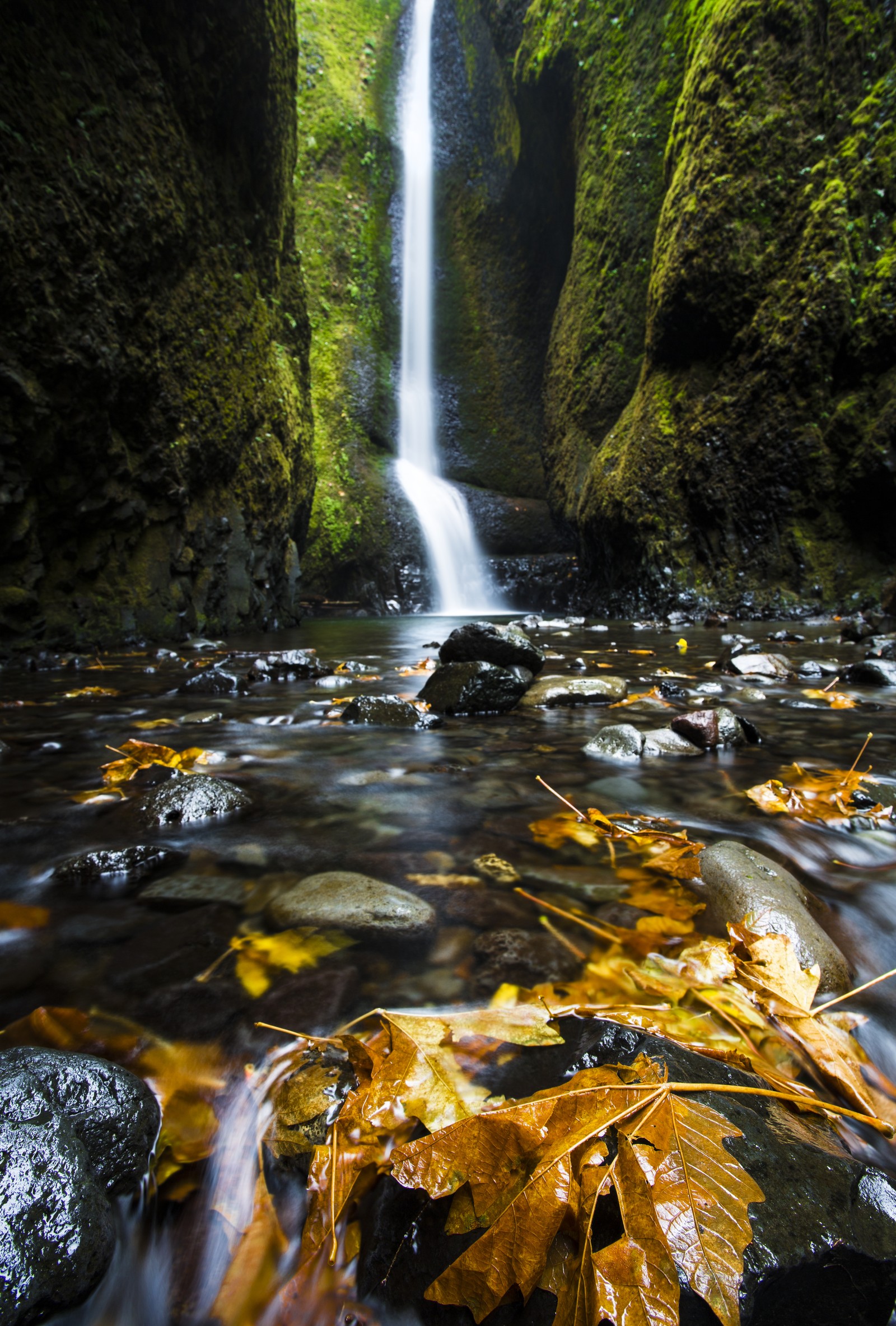 Ein wasserfall in der mitte eines canyons mit blättern auf dem boden (herbst, landschaft, blätter, oregon, wasser)