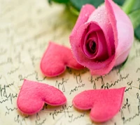 hearts rose, pink