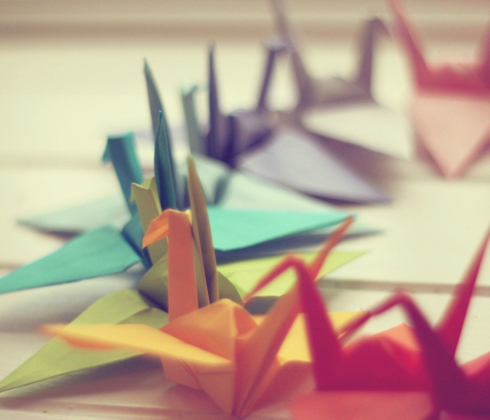 colorful, crane Download Wallpaper