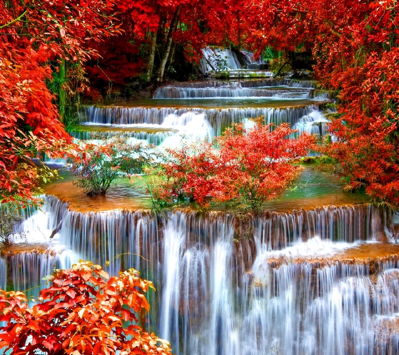 Cascada en el bosque con hojas rojas y agua (naturaleza)