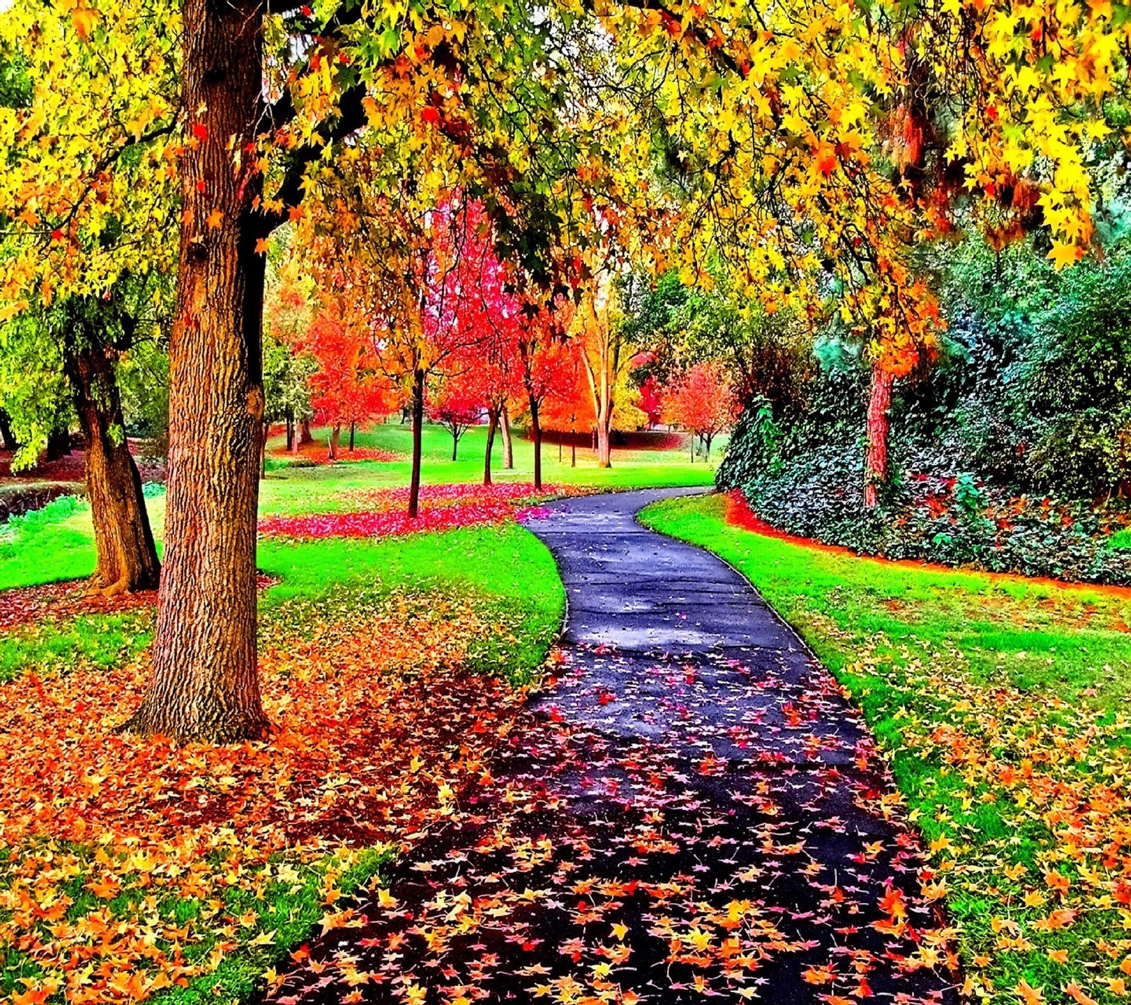 A painting of a pathway in a park with trees and leaves (nature)