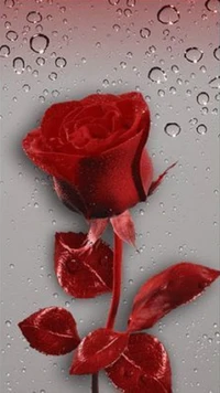 Crimson Gothic Rose with Raindrops