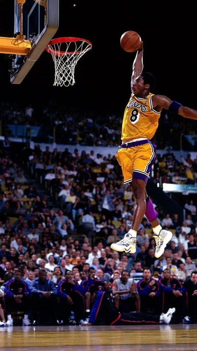 basket ball, kobe, lakers, sports