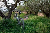 bicicleta, bicicleta de montanha, ciclismo de montanha, bicicleta elétrica, ciclismo