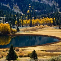 Serenidad Otoñal: Reflexiones sobre un Lago Tranquilo en un Parque Nacional