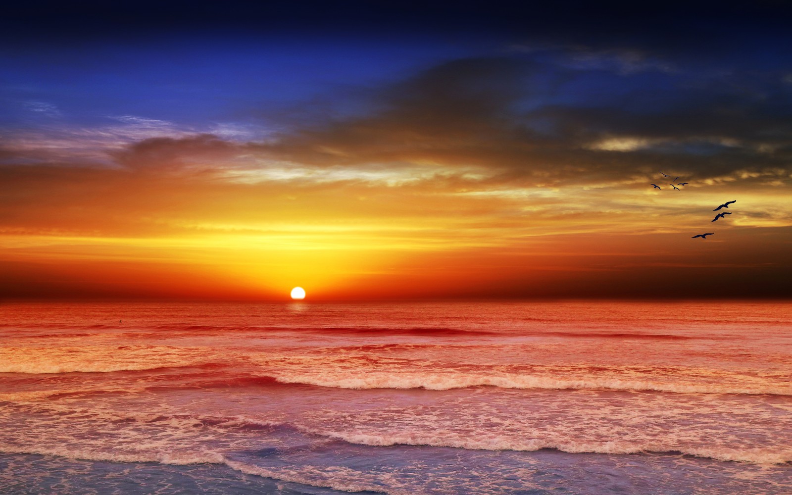 Un primer plano de un atardecer con aves volando sobre el océano (playa, crepúsculo, atardecer, paisaje marino, noche)