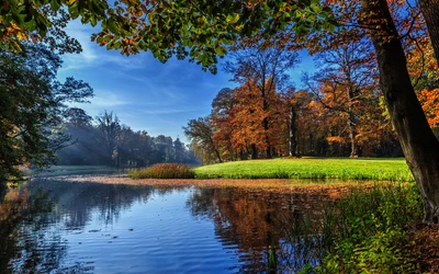 Herbstliche Gelassenheit: Eine Ruhige Reflexion von Bäumen und Himmel auf einem Ruhigen See