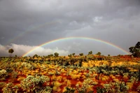 Vibrant Rainbow Over California Tundra Landscape