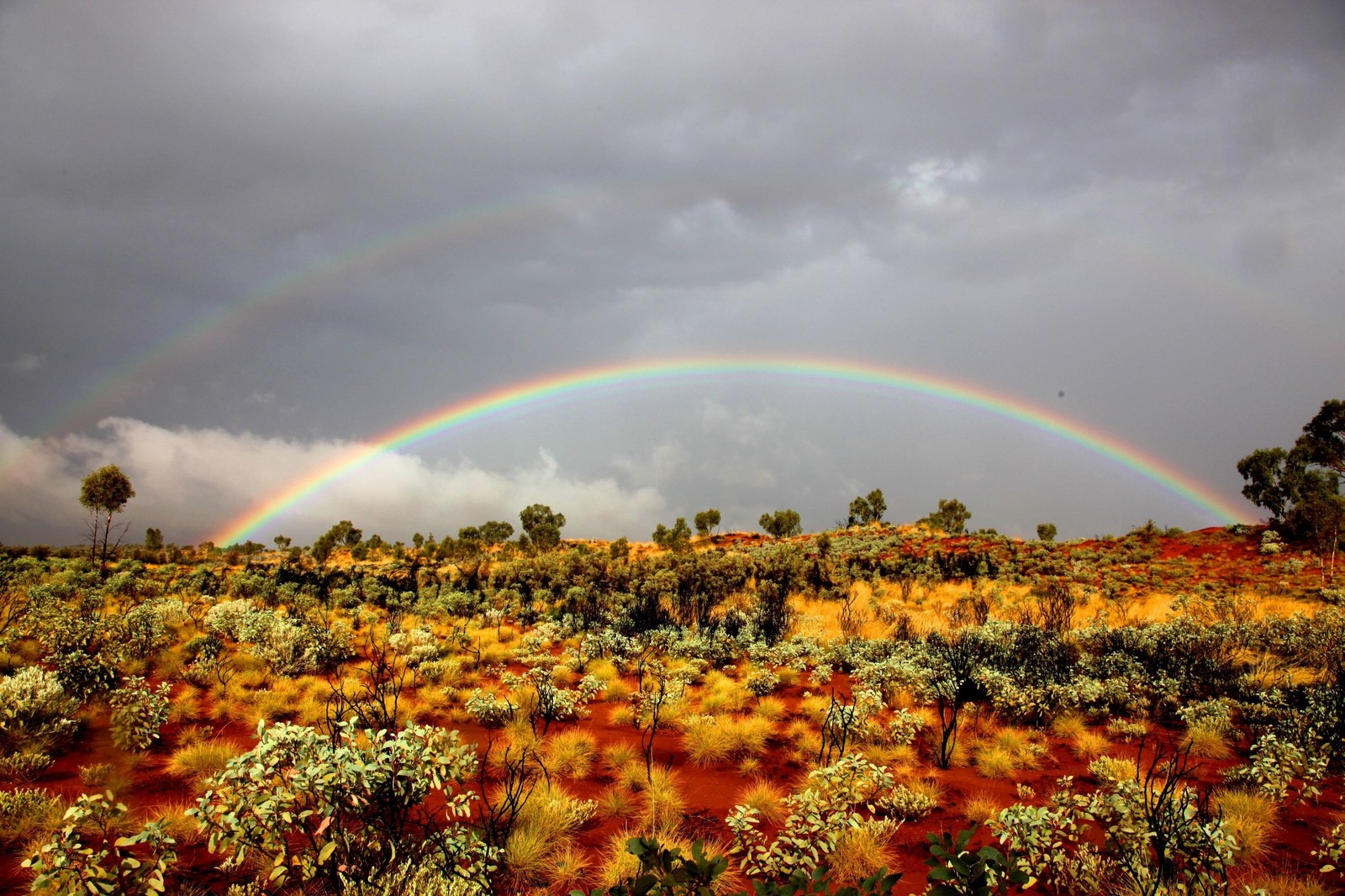 Il y a un arc-en-ciel dans le ciel au-dessus d'un champ de gazon (végétation, arc en ciel, nature, paysage naturel, nuage)