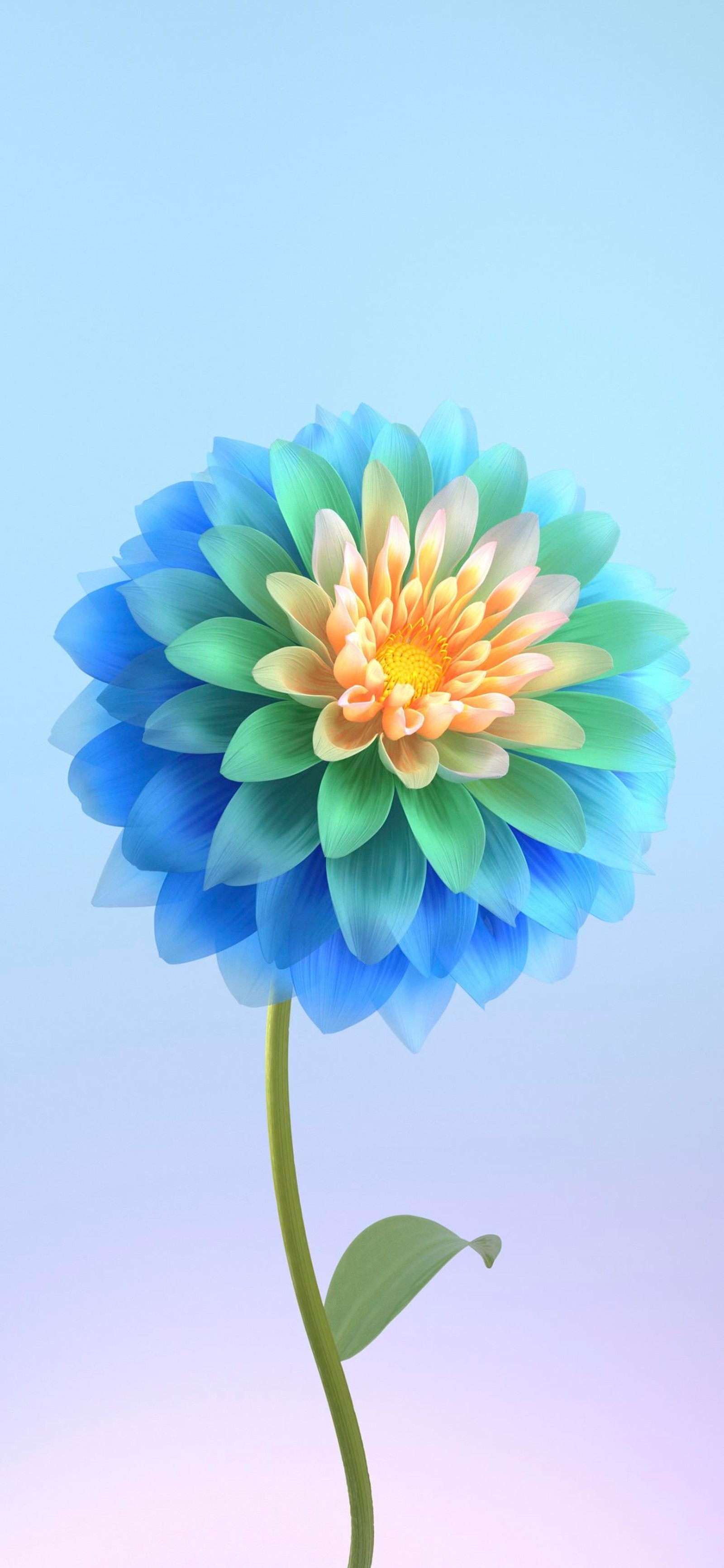 Brightly colored flower with green stem and blue petals against a blue sky (flower, petal, plant, nature, botany)