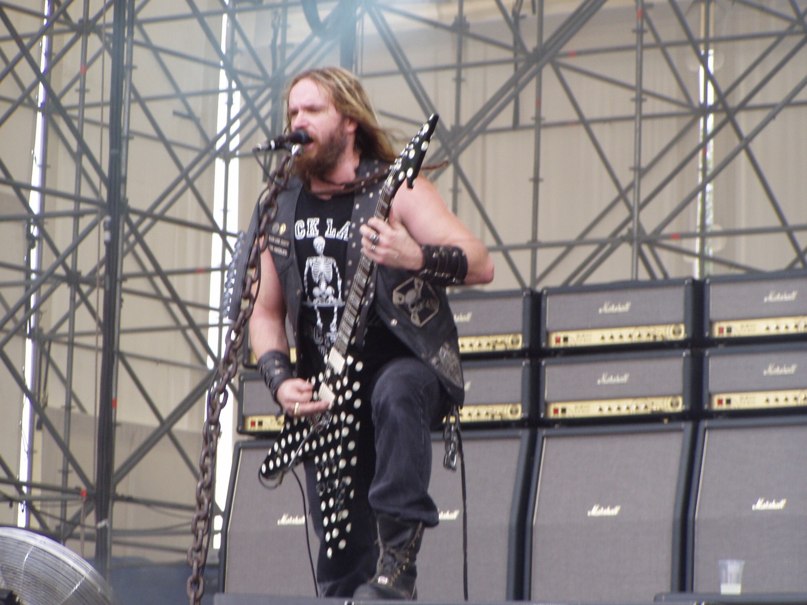 zakk wylde, heavy metal, guitar, music, musician wallpaper