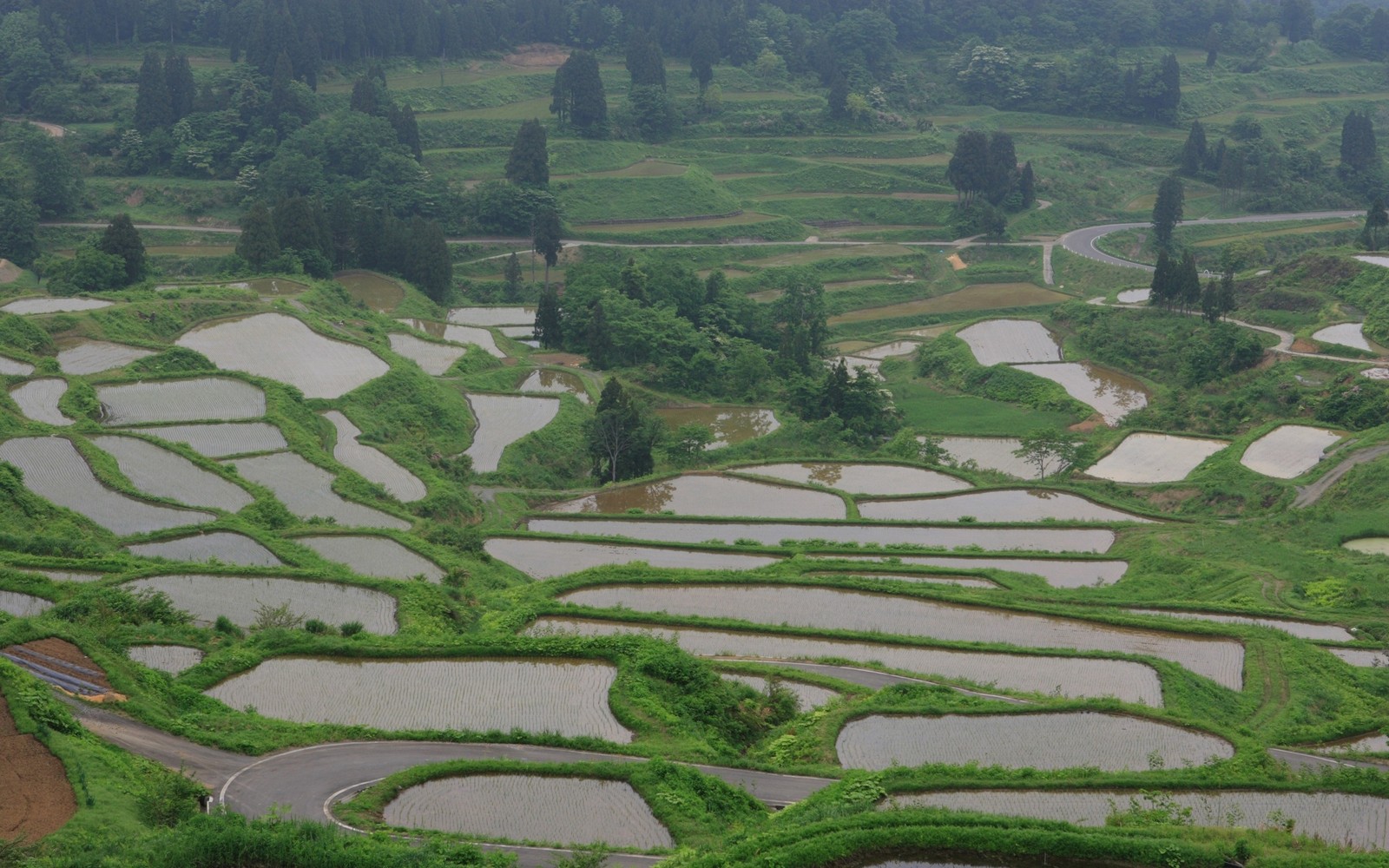 Vista aérea de uma grande área com muitas características aquáticas (terraço, área rural, campo de arroz, agricultura, estação de montanha)