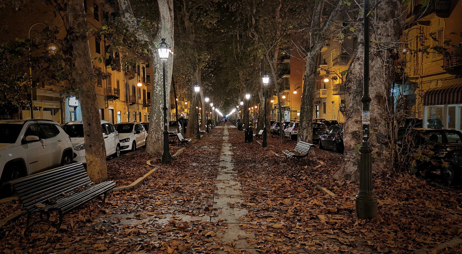 Lade nacht, straßenlaterne, fahrbahnoberfläche, blatt, pflanze Hintergrund herunter