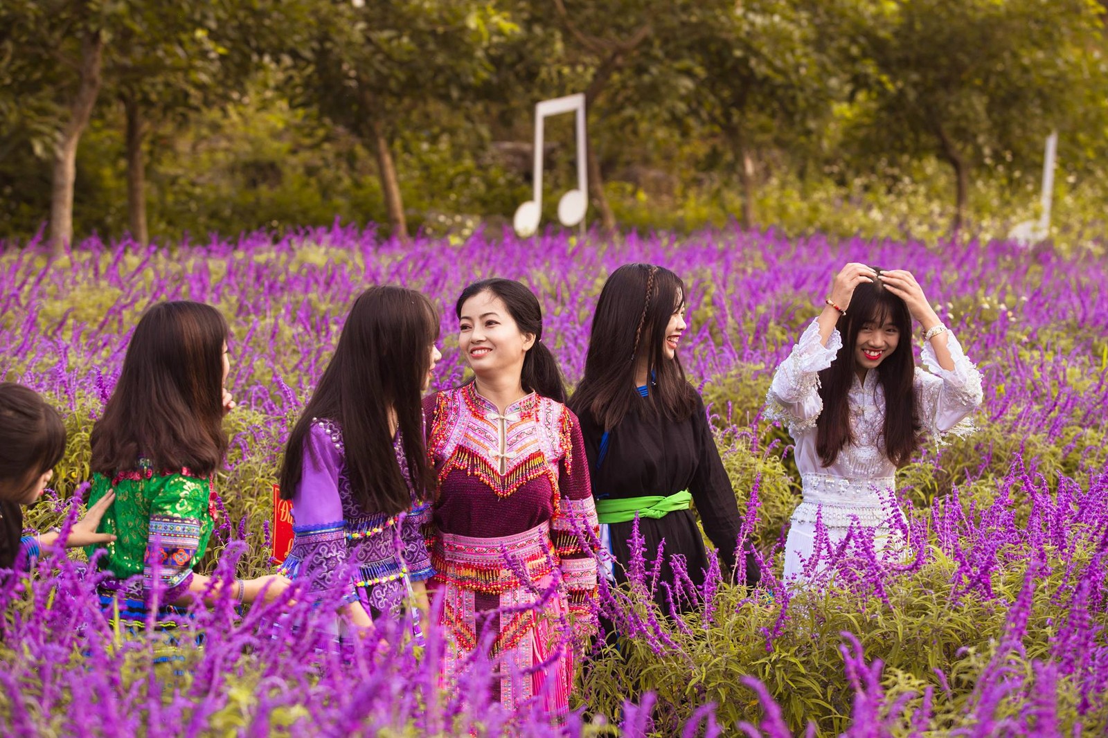 Várias mulheres com roupas tradicionais estão de pé em um campo de flores roxas (lavanda, roxo, flor, grama, primavera)