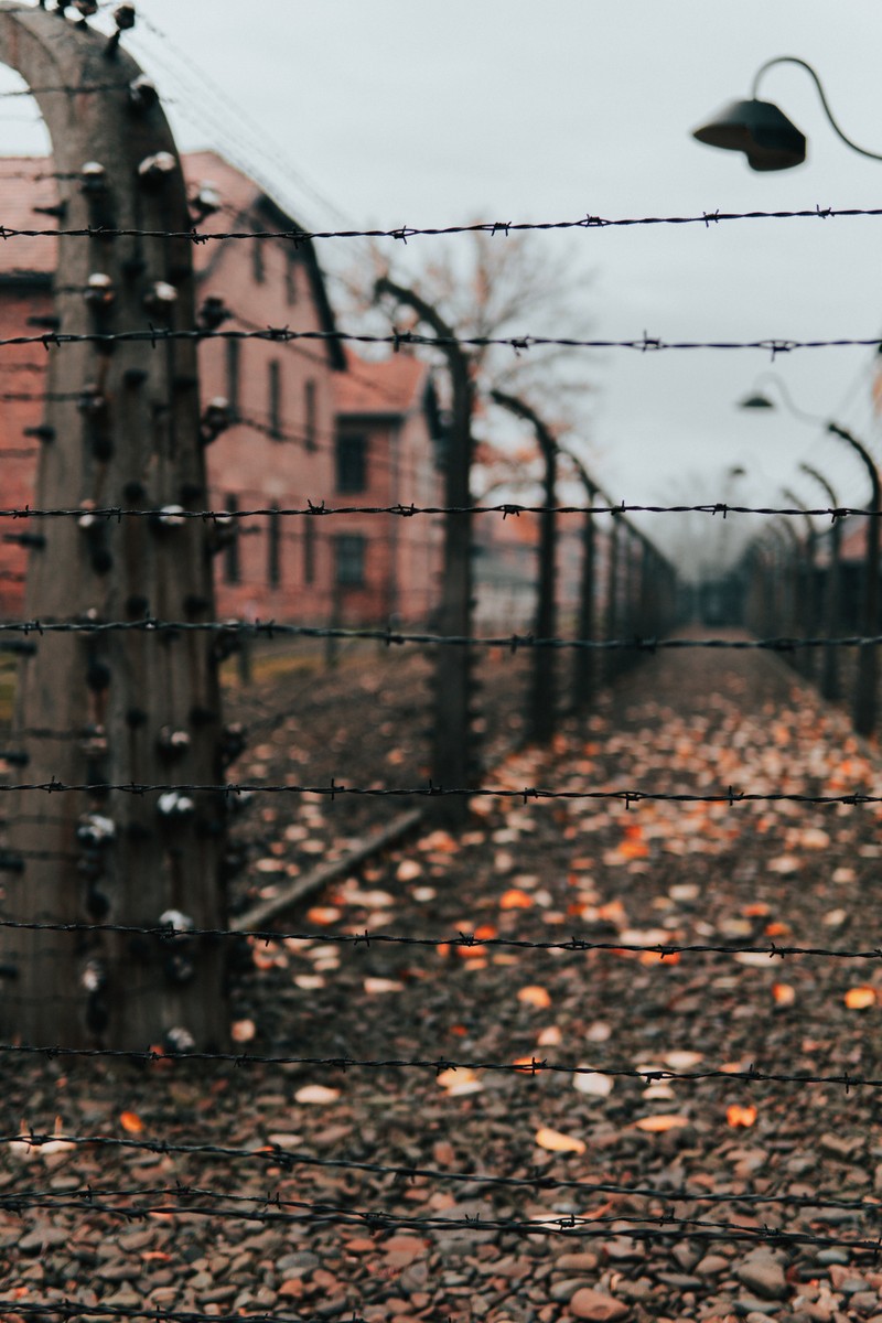 Колючая проволока с зданием на заднем плане (забор, стена, дерево, лист, кирпич)