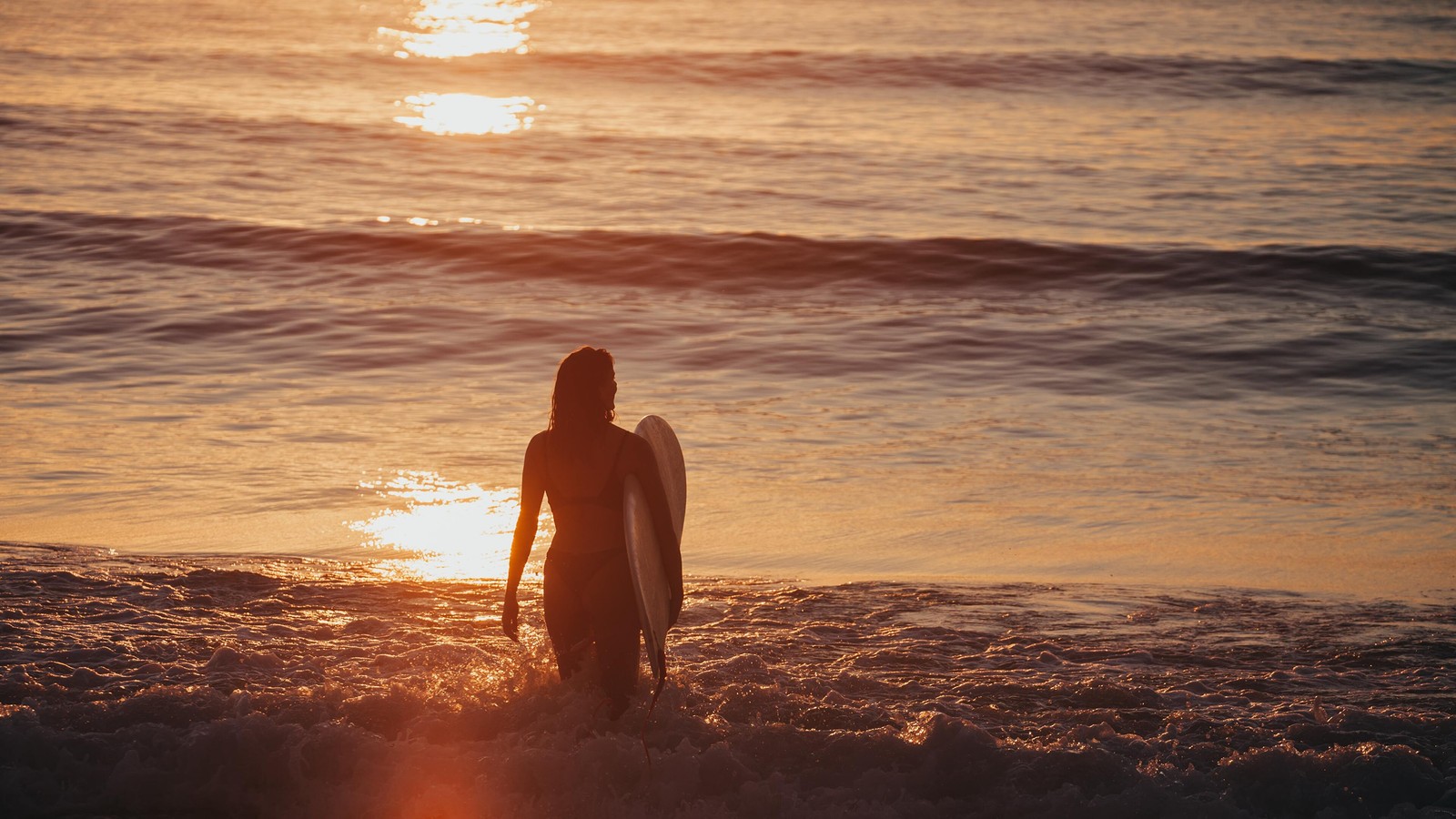 Surfistas estão entrando na água ao pôr do sol com suas pranchas de surf (mar, água, pessoas na natureza, humano, praia)