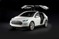 Tesla Model X: Ein futuristischer elektrischer Familien-SUV mit ikonischen Falkenflügeltüren.