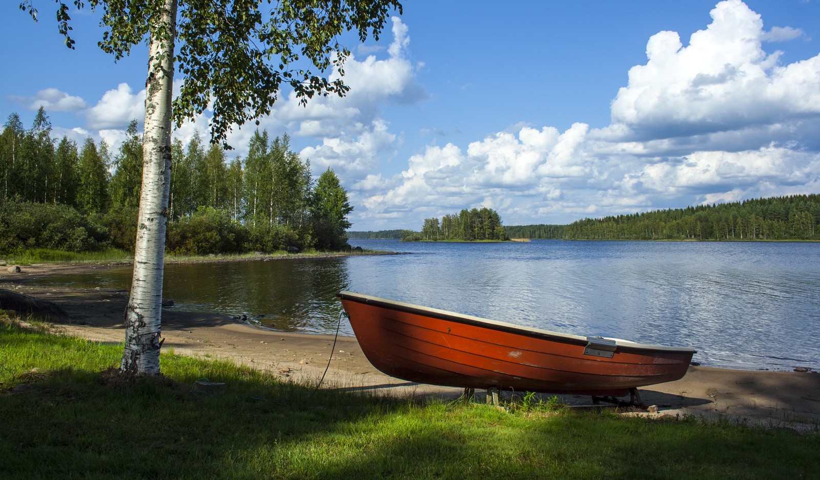 Un gros plan d'un bateau sur une plage près d'un arbre (lac, bouleau, bateau, nature, arbre)