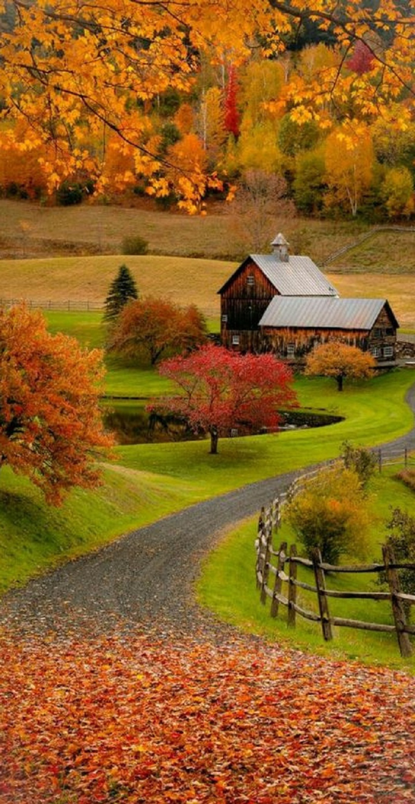 Arafed barn in the fall with a winding road leading to it (barn, country)