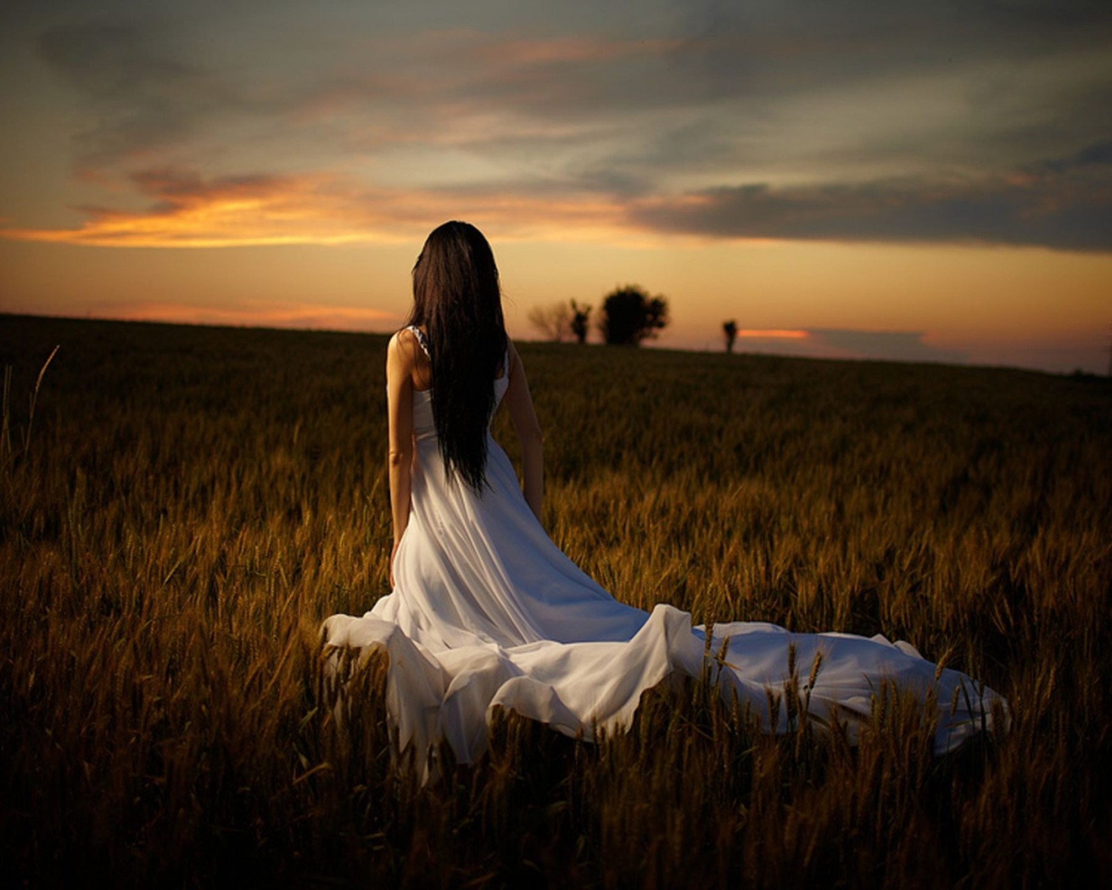 Arafed woman in a white dress in a field of wheat (alone, brunette, girl, lonely, sad)