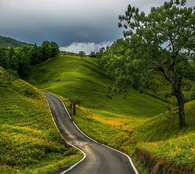 verde, paisagem, natureza, estrada